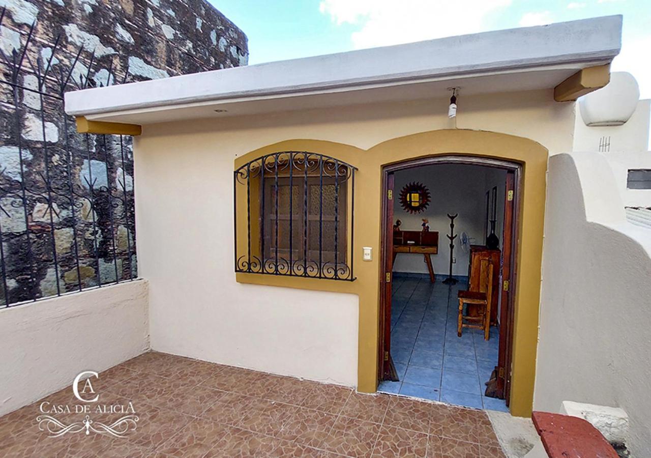 Casa De Alicia Habitacion Monte Alban Apartment Oaxaca Екстериор снимка