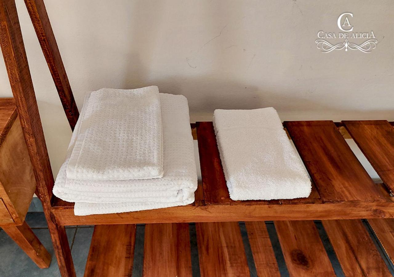 Casa De Alicia Habitacion Monte Alban Apartment Oaxaca Екстериор снимка